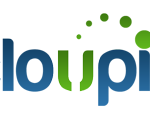 Cloupia